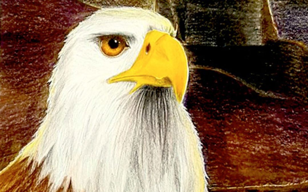 Aigle – Crayons de couleurs