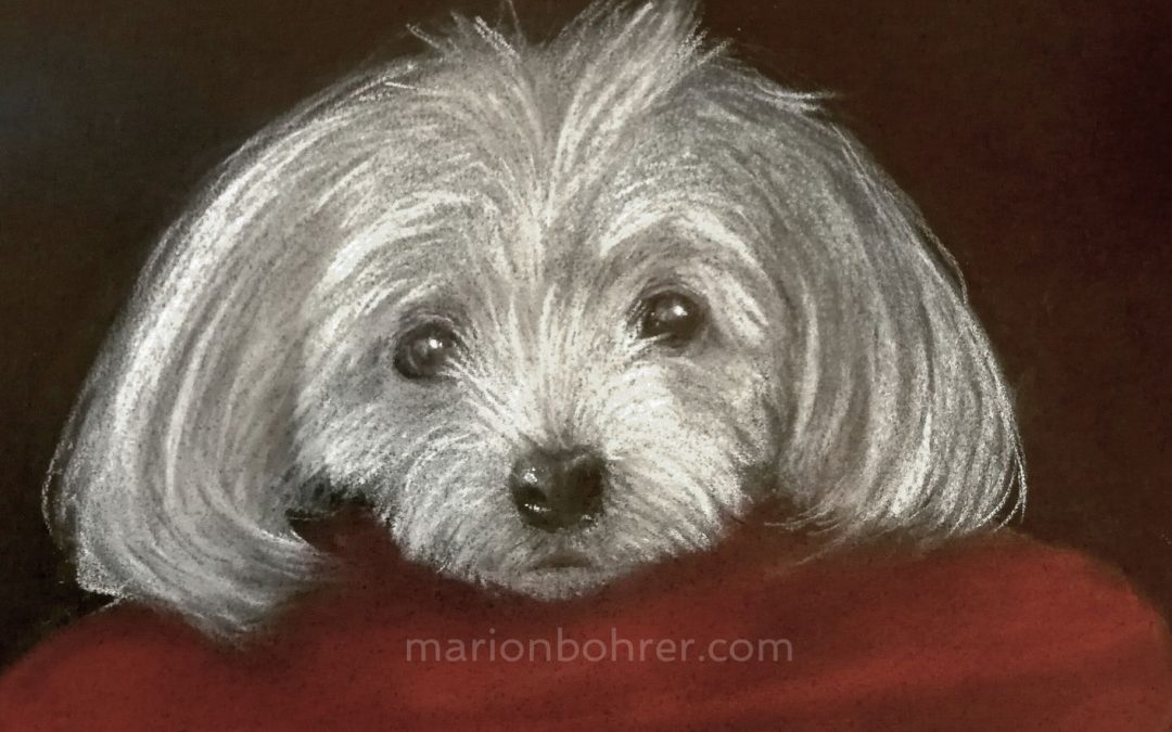 Petit chien – Pastel Sec
